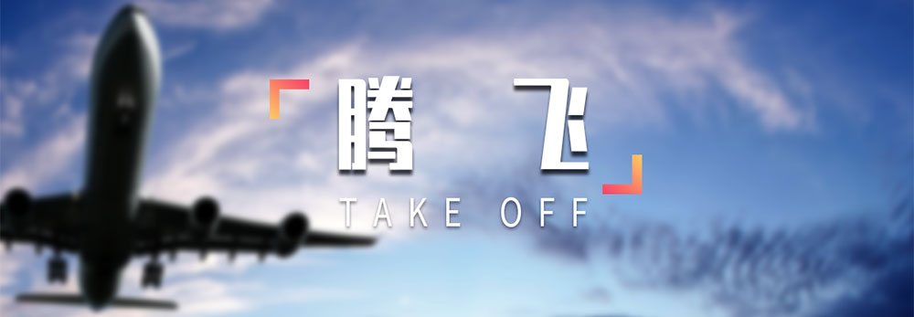 莫藝集團(tuán)騰飛